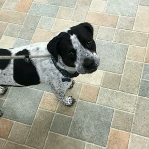 Meet your Posher, Madelyn